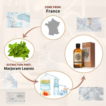 Marjoram Essential Oil AKARZ Natural And Pure ( 30ML 100ML)